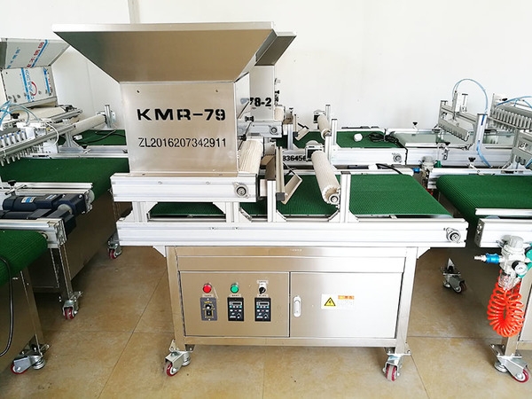 多功能蔬菜播種機(jī)